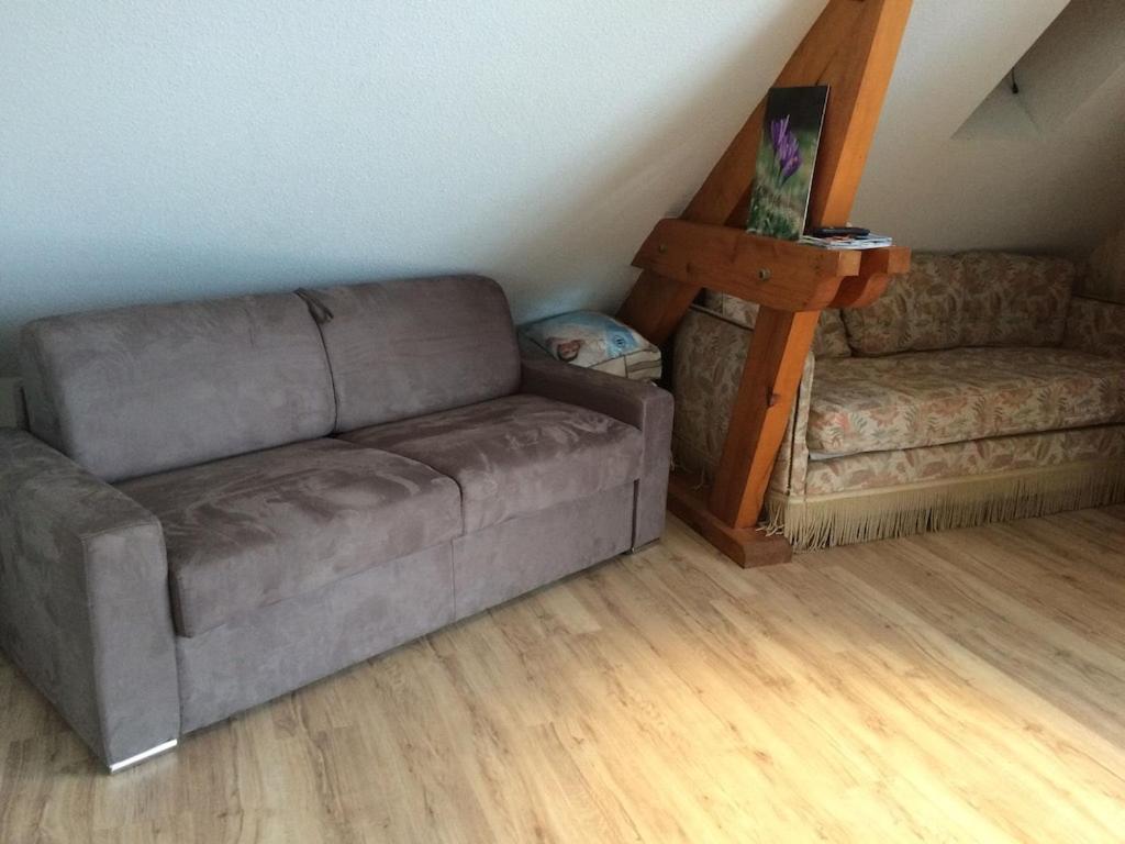 Appartement Sur Le Bord Du Lac De Fabreges لارونس المظهر الخارجي الصورة